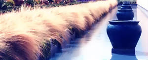 cascade.jpg