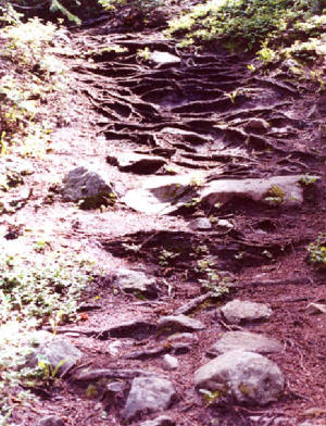 stairwayto.jpg